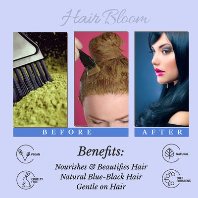 Hair Bloom Natural Blue Black Hair Color- Herbal Indigo w/ False Daisy & Gooseberry Hair Color Powder- 12 individual sachets (10 gm each)- Reusable Brush & Tray Included - Pride Of India